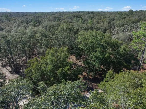 TBD NE 85th St, Bronson, FL 32621