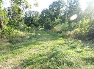 6746 W Placid Ln, Willard, MO 65781