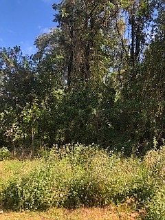 2nd image of Uilani Dr Lot 9