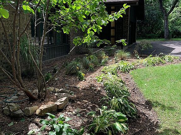 Left Corner Landscape