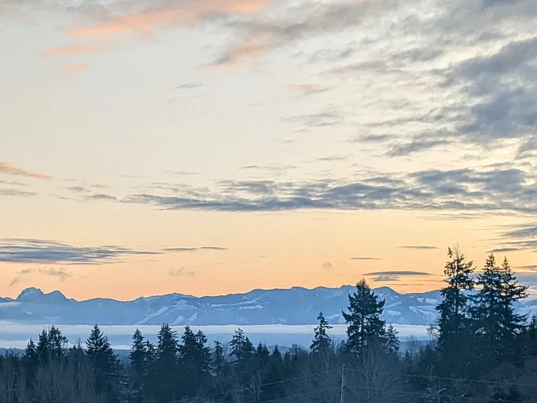 Views from home