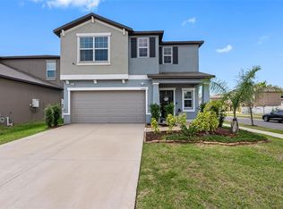 10369 Blue Plume Ct, Riverview, FL 33578