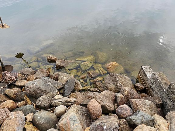 4th image of 109 Willow Point Dr
