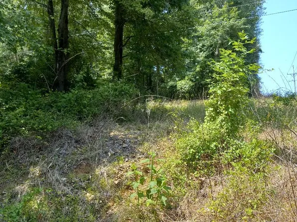 0 Beckwith Ln, Washington, VA 22747