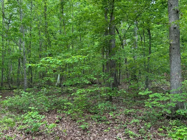 R/w Off Justice Dr, Orange, VA 22960