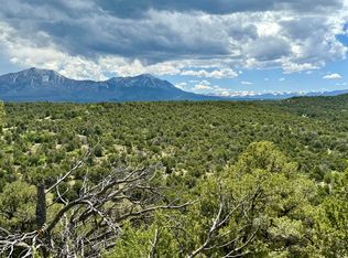 La Veta Pines Rnch #24, La Veta, CO 81055