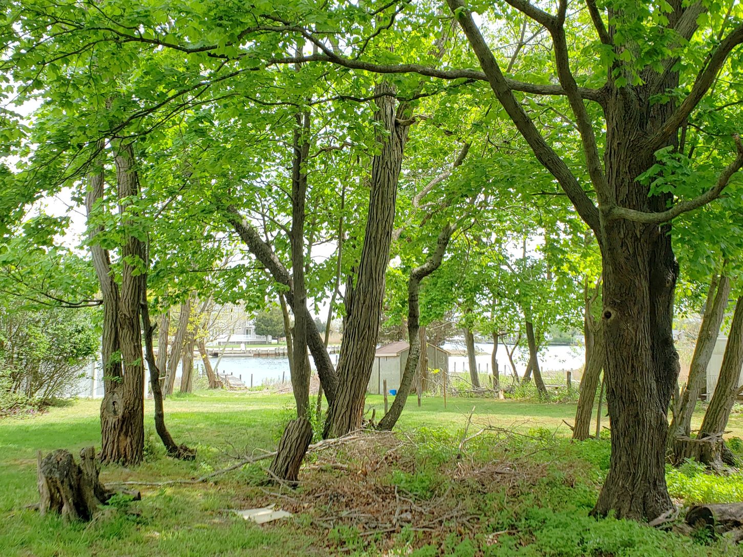  Serene View Of James Creek