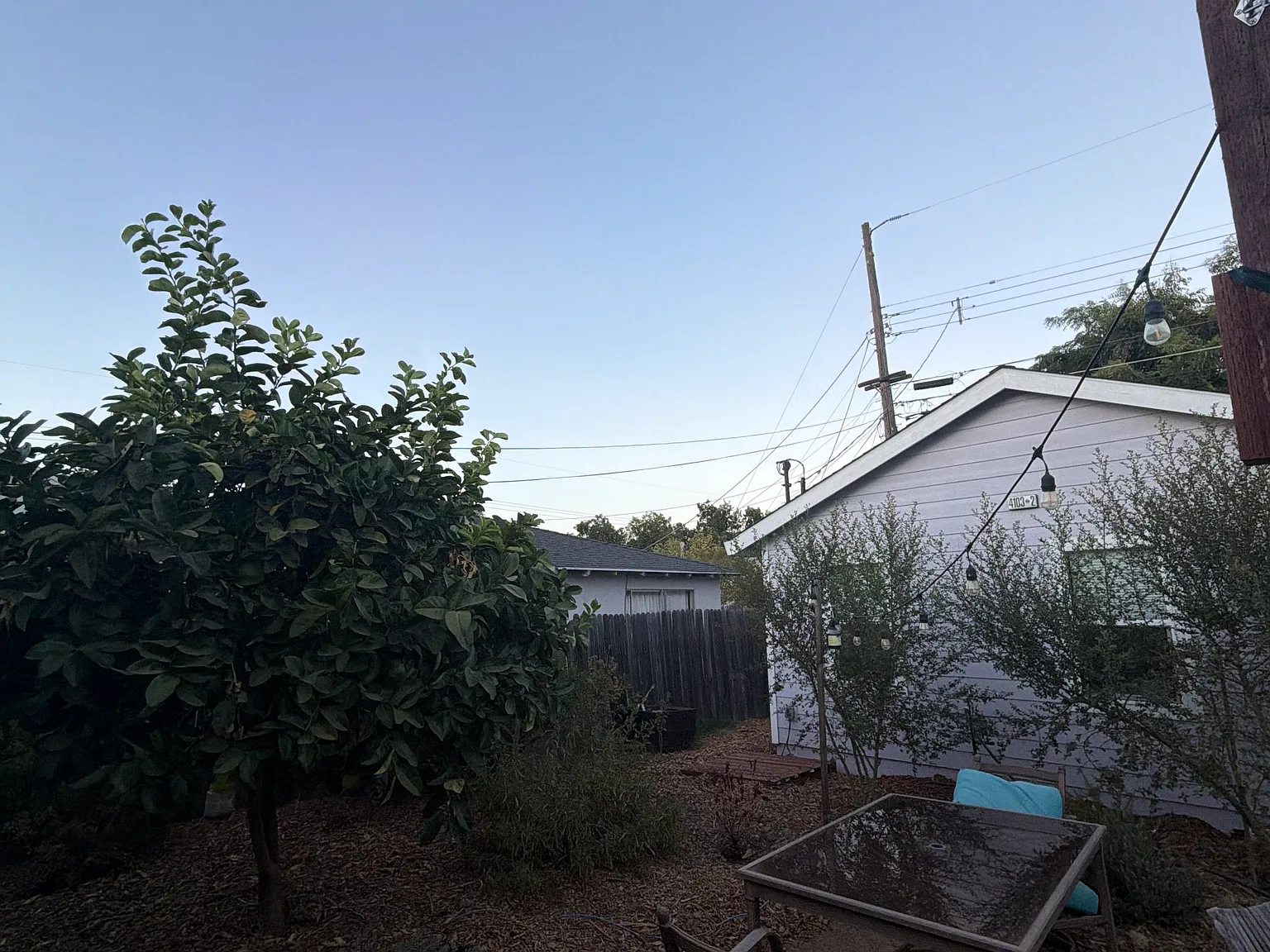Studio, 367 sqft, $1,500 — Photo 3