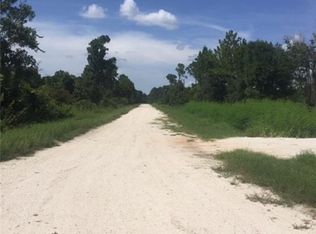 1250 N Lone Bay Blvd, Avon Park, FL 33825