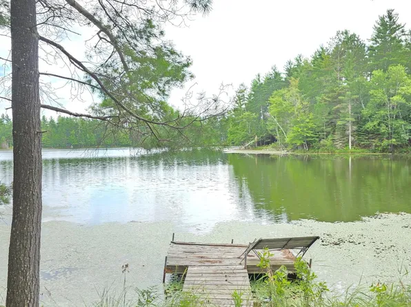 8659 N Blue Gill Lake Rd, Winter, WI 54896