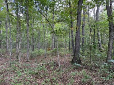 1858 Goforth Rd LOT 8, Morrison, TN, 37357