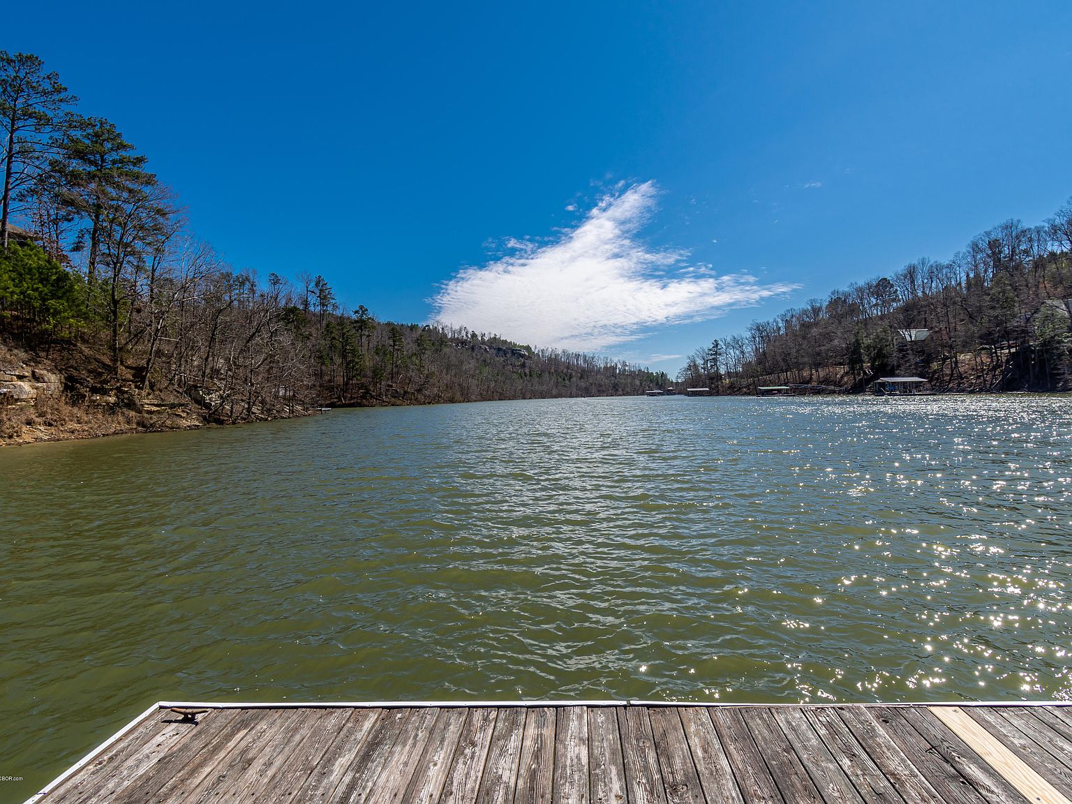 1195 County Road 4030, Arley, AL 35541 Zillow