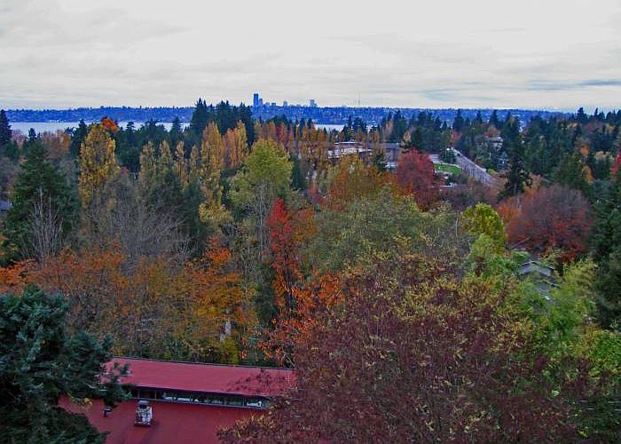 1st image of 625 84th Ave NE