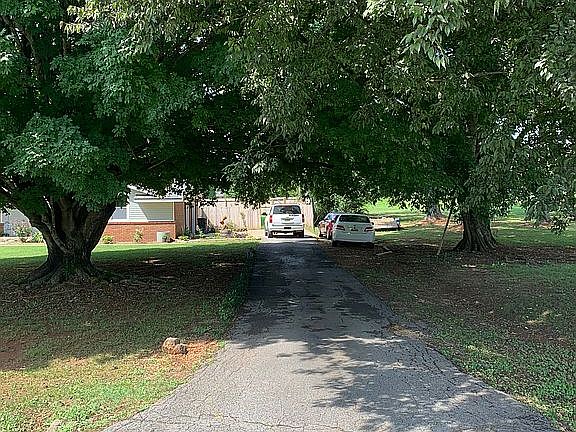 Tree covered driveway