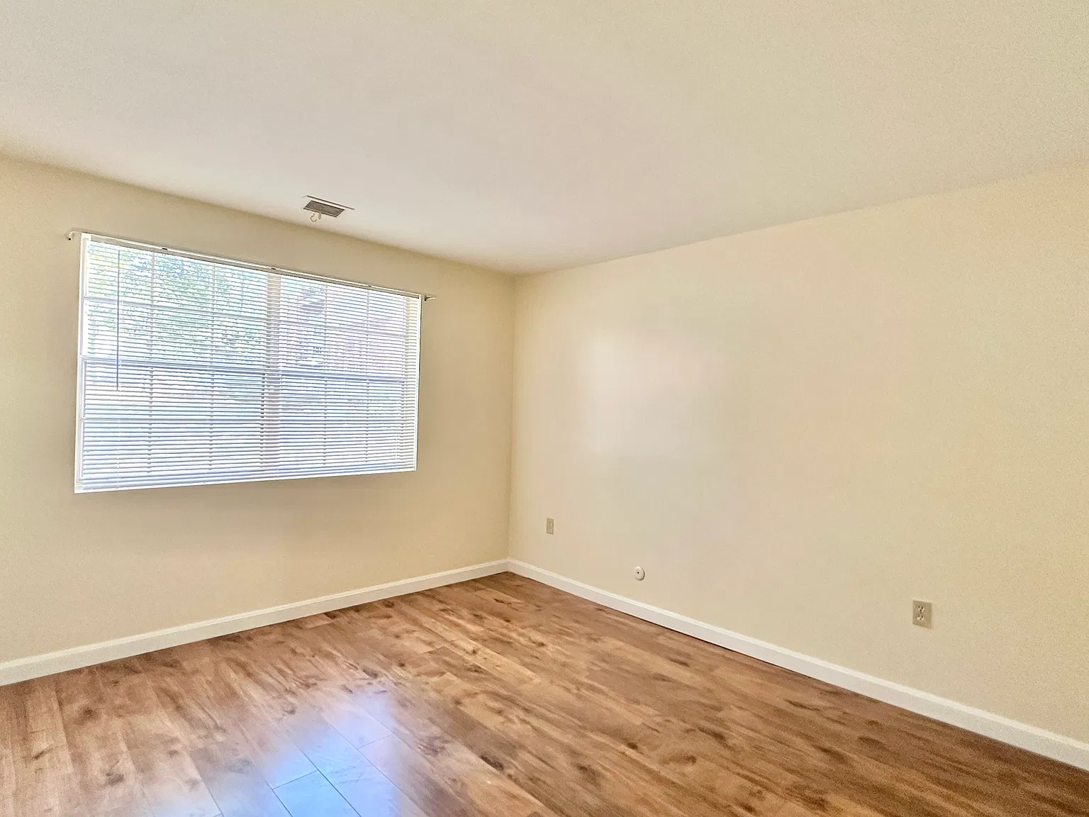 2 bed, 980 sqft, $1,990 — Photo 3