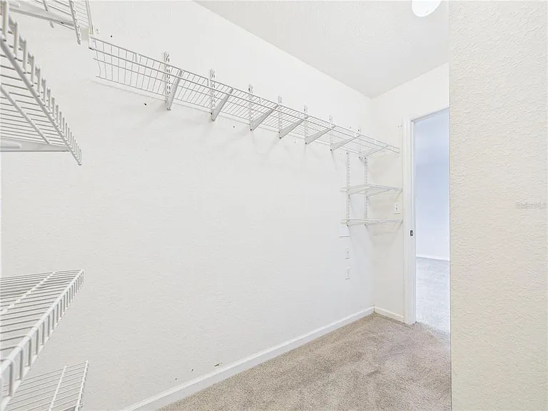 16310 Fairford Palms Ct — Photo 26
