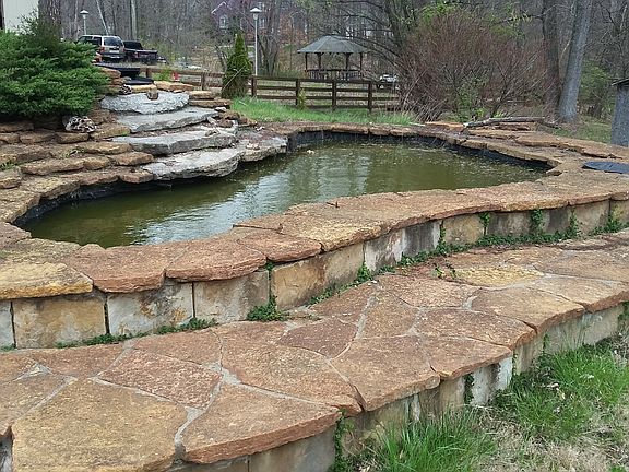 Pond