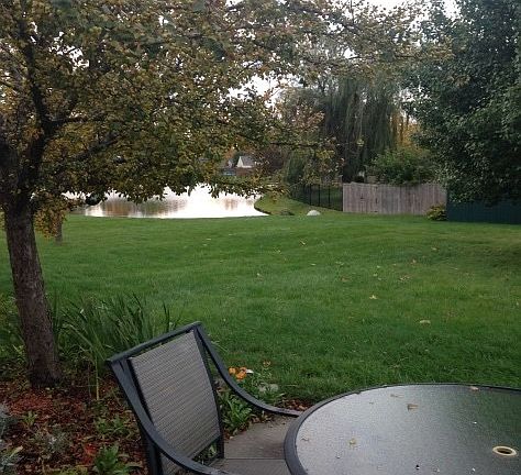 Beautiful lake view