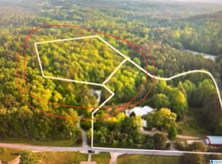 0 Dorr Rd #1, Oneonta, AL 35121