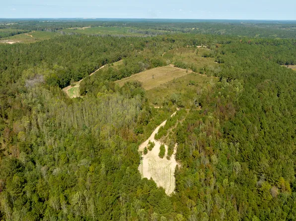 0 Poole Rd, Ellaville, GA 31806