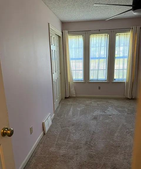 8083 Cinders Rd — Photo 12
