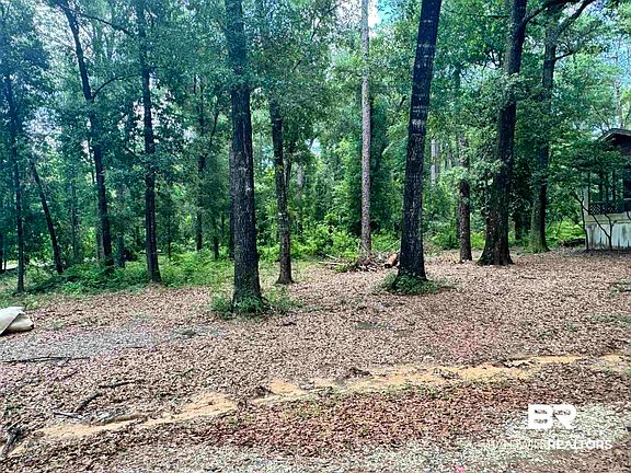 3rd image of 16478 County Road 9
