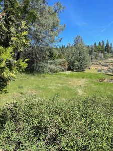 15330 Diamond Ct, Pioneer, CA, 95666