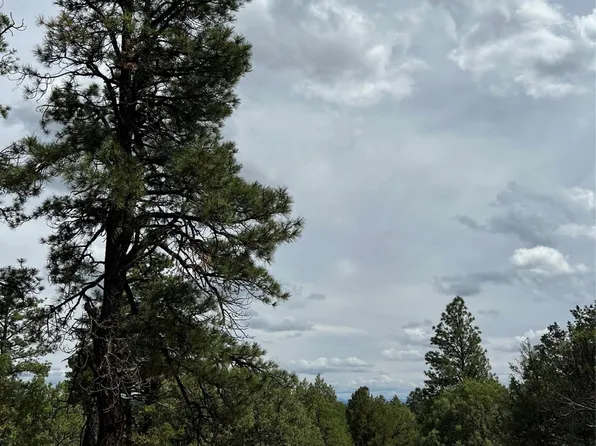TRACT 21 Vista De Herron Camino Thomas, Los Ojos, NM 87551