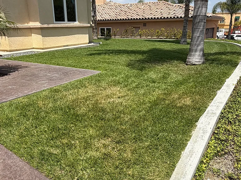 7603 Romeria St — Photo 32