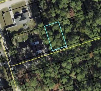 58 Owl Ln, Crawfordville, FL, 32327
