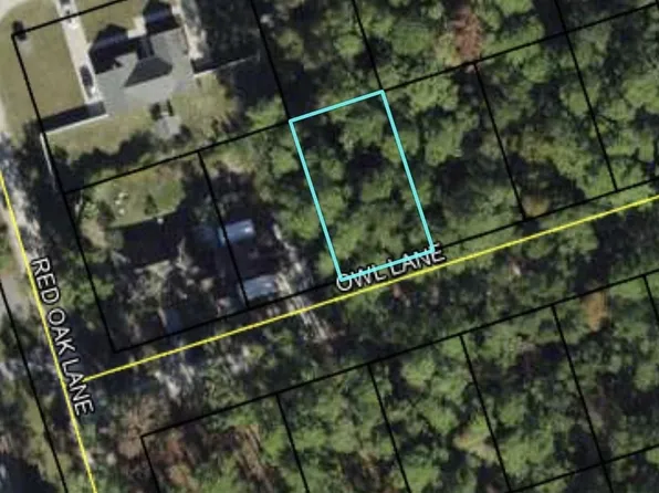 58 Owl Ln, Crawfordville, FL 32327