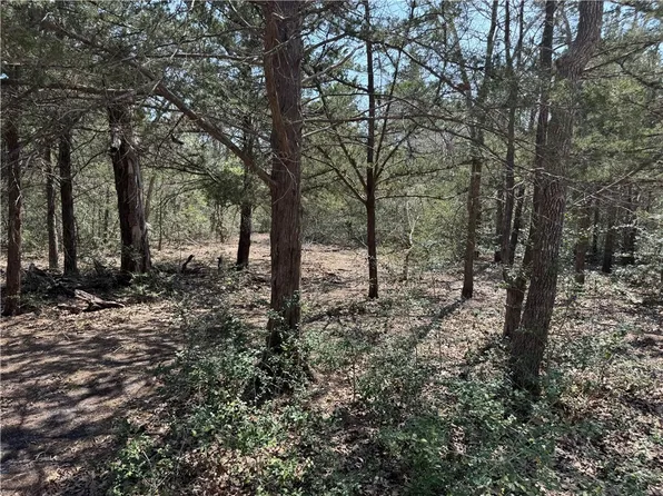 232 Wooded Trl, Somerville, TX 77879