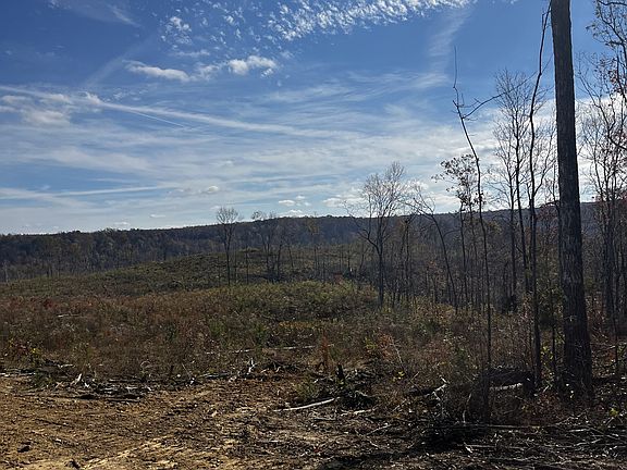 2nd image of 1 Northcutts Cove Ln