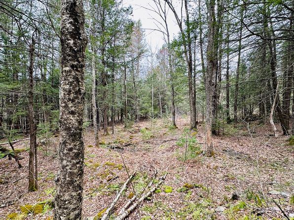 0 Shaw Rd, Cummington, MA 01026
