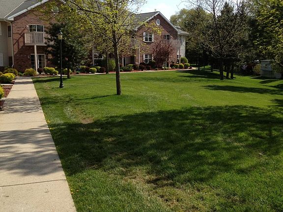 Rear yard