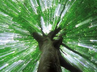 9 Saint, Covington, LA 70433