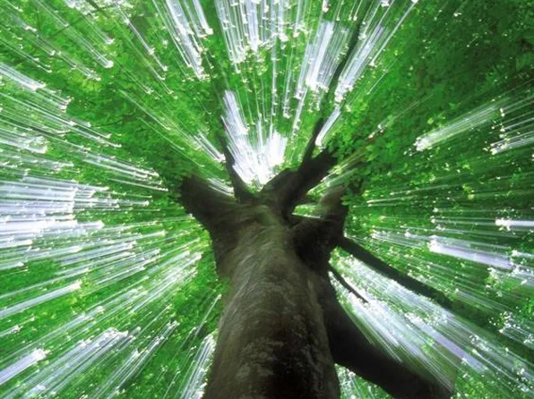 9 Saint, Covington, LA 70433