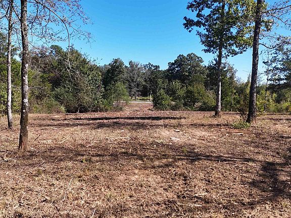 4th image of Polk Rd #676
