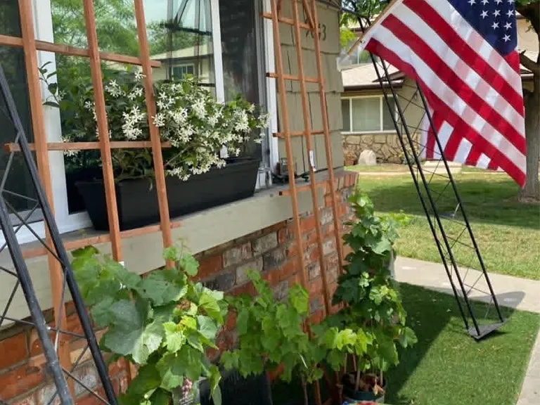 Front of home while doing window gardening in the spring. Quality thick artificial grass installed for best year-round comfort.