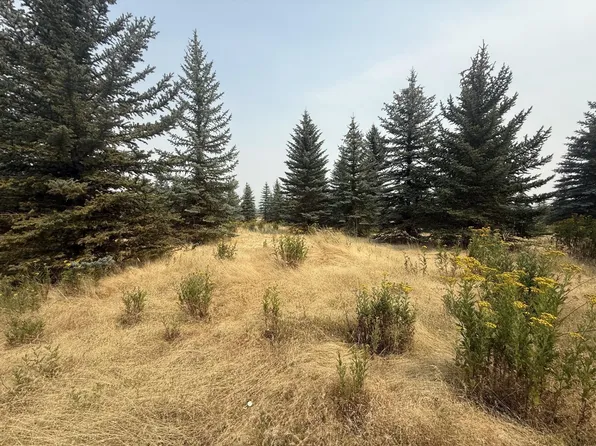 112XX S Spruce Tree Ln, Mica, WA 99023