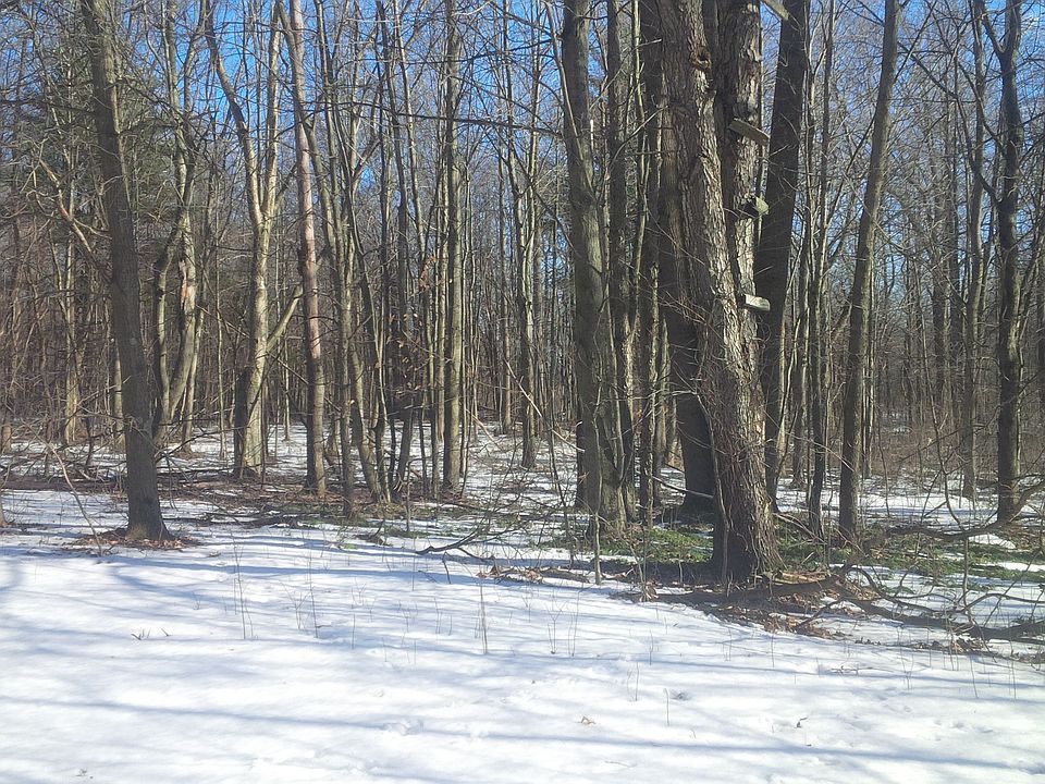 1st image of 17032 County Road 215