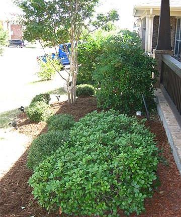 5th image of 10641 Vista Heights Blvd