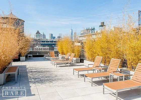 Rented by Find What’s Rare | media 27