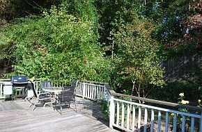 4th image of 401 Sugarwood Dr