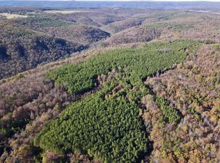 (Undisclosed Address), Clinton, AR 72031