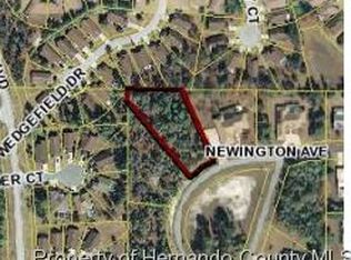 11347 Newington Ave, Spring hill, FL 34609