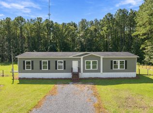 8149 Bing Hill Rd, Adams Run, SC 29426