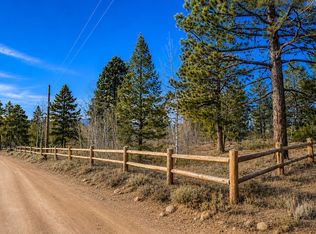 815 Cougar Run, Nederland, CO 80466