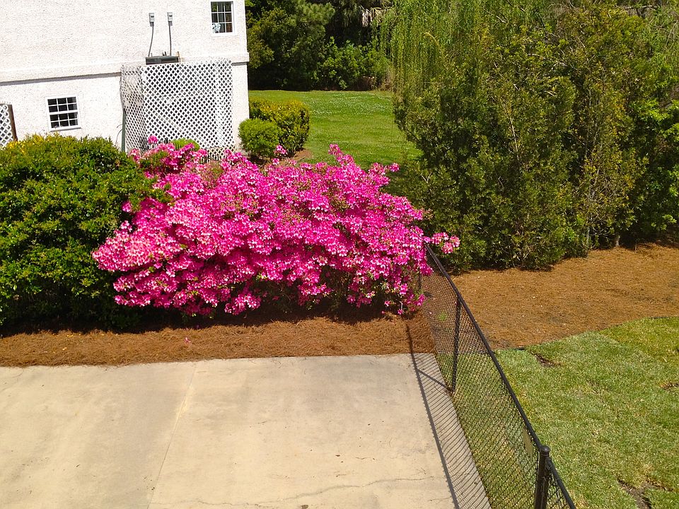 1st image of 412 Brewster Ln