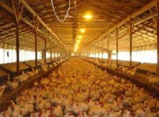 802 Clear Creek Rd #2, Ellijay, GA 30536